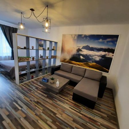 Croma Studio Petrosani Apartment Bagian luar foto