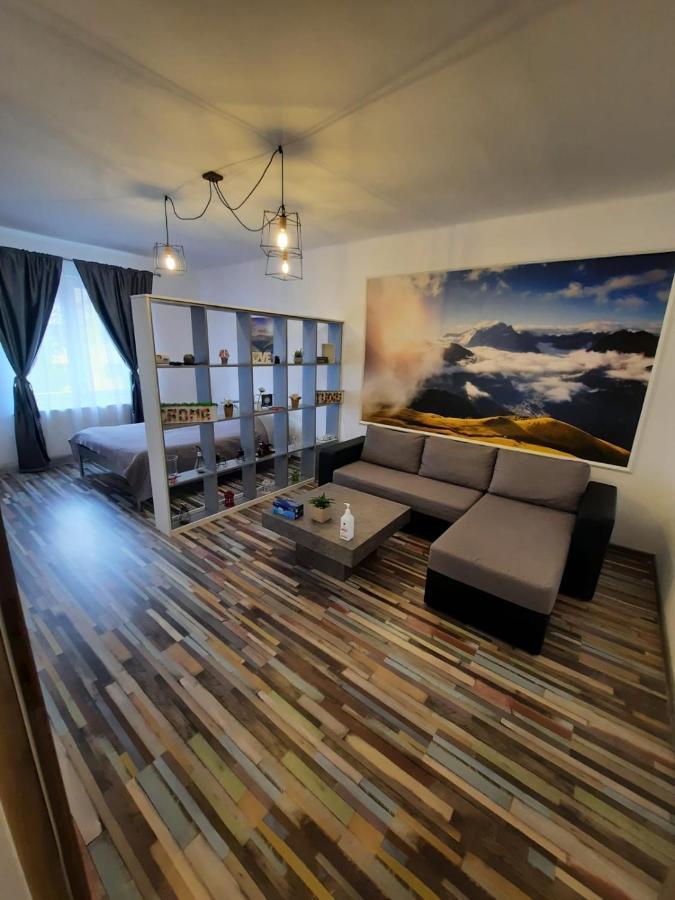 Croma Studio Petrosani Apartment Bagian luar foto
