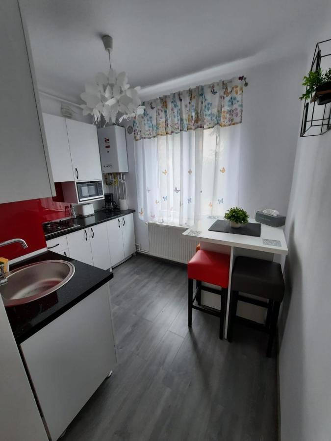 Croma Studio Petrosani Apartment Bagian luar foto